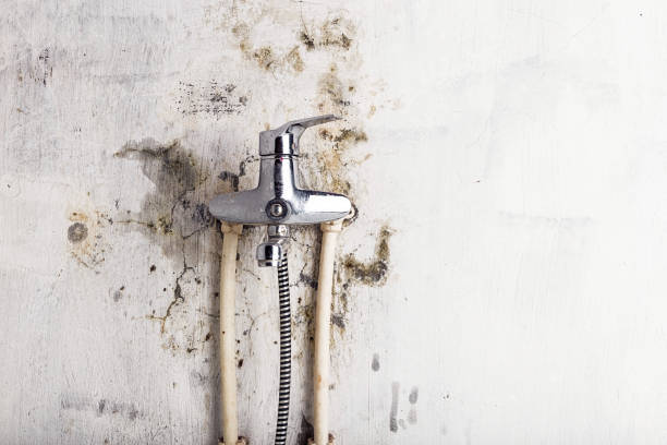  Mcminnville, TN Mold Removal Pros