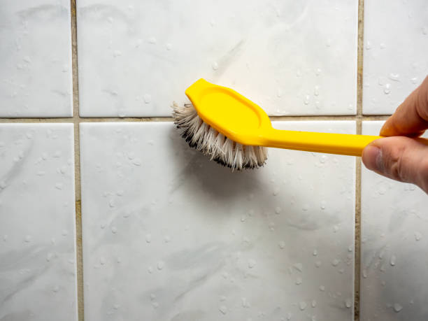 Best Mold Removal Specialists  in Mcminnville, TN