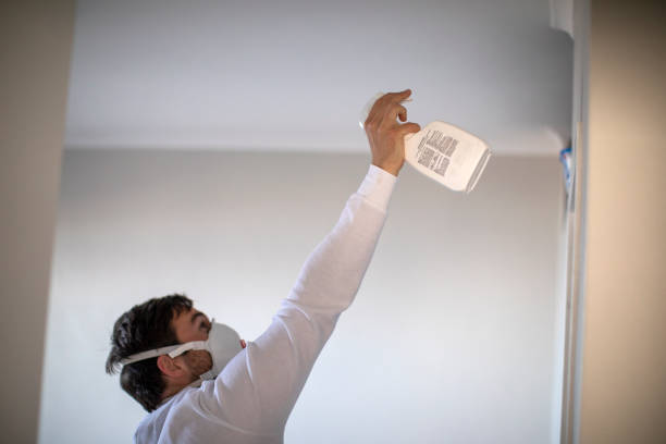 Mold Removal Process in Mcminnville, TN