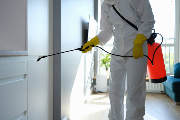 Best Crawl Space Mold Removal  in Mcminnville, TN