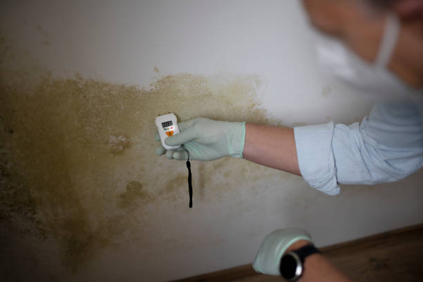 Mcminnville, TN Mold Removal Company