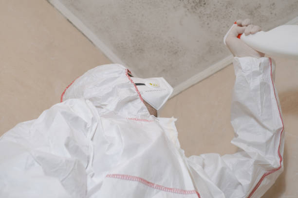 Best Mold Remediation Experts  in Mcminnville, TN