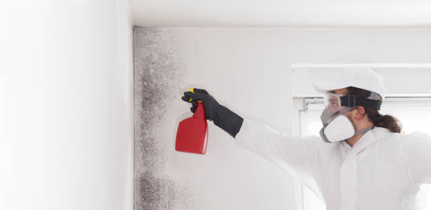 Best Toxic Mold Removal  in Mcminnville, TN