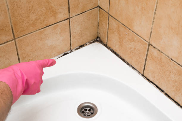 Best Mold Testing  in Mcminnville, TN